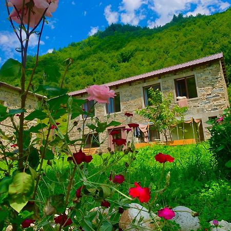 River Side Svaneti Mestia Extérieur photo